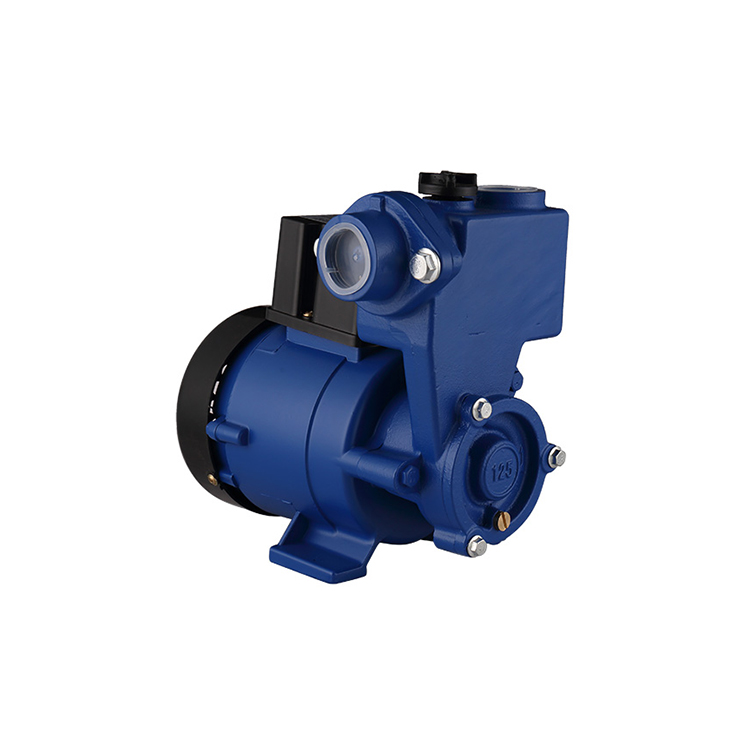 GP self-priming vortex pump