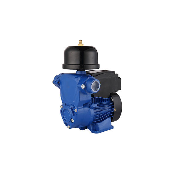 LSA automatic cold and hot self-priming pump-(3)