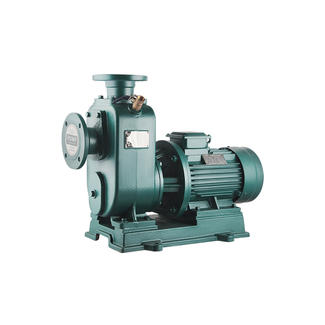 Bedroom centrifugal pipeline pump