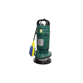 QDX Submersible Pump With Float Switch